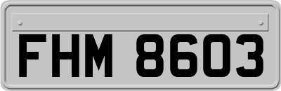 FHM8603