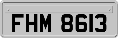 FHM8613