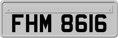 FHM8616