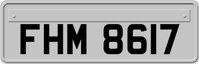 FHM8617