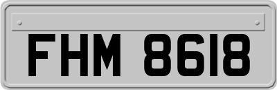 FHM8618