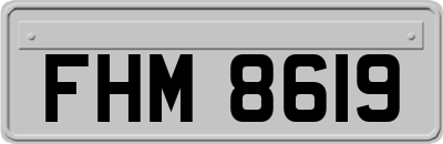 FHM8619
