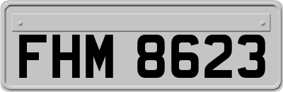 FHM8623