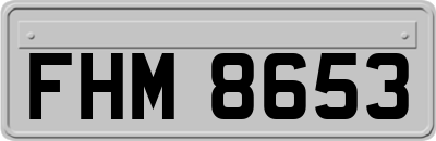 FHM8653