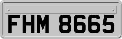 FHM8665