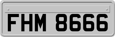 FHM8666