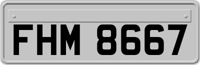 FHM8667