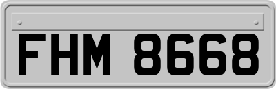 FHM8668