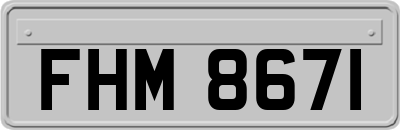 FHM8671