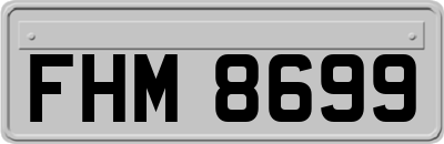 FHM8699