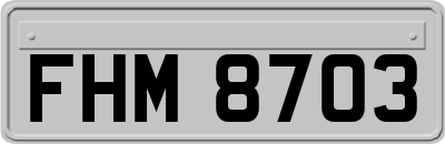 FHM8703
