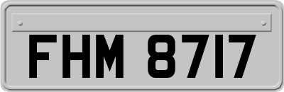 FHM8717