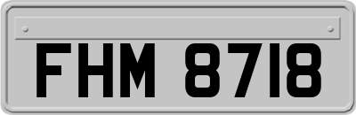 FHM8718