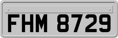 FHM8729