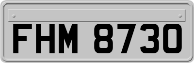 FHM8730