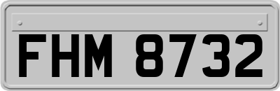 FHM8732