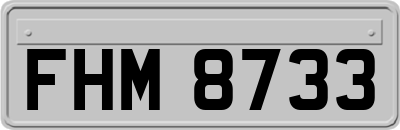 FHM8733