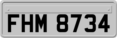 FHM8734