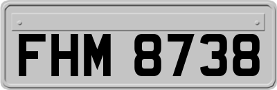 FHM8738