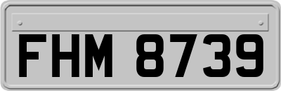 FHM8739