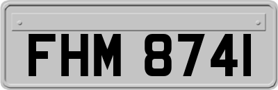 FHM8741