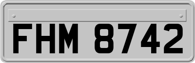 FHM8742