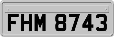 FHM8743