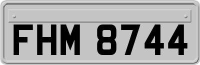 FHM8744