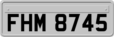 FHM8745