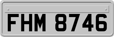 FHM8746