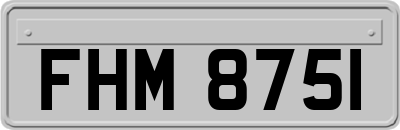 FHM8751