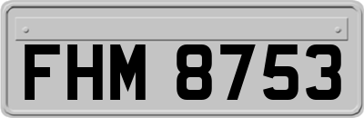 FHM8753