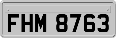 FHM8763