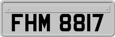 FHM8817
