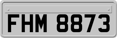 FHM8873