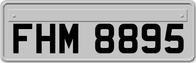 FHM8895
