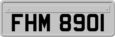 FHM8901