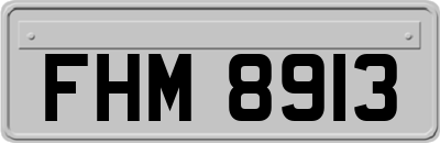 FHM8913