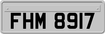 FHM8917