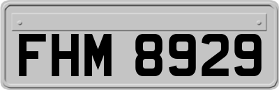 FHM8929