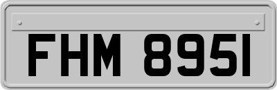 FHM8951