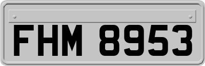 FHM8953