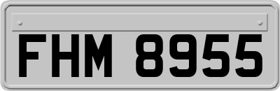 FHM8955
