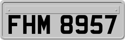 FHM8957