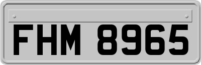 FHM8965