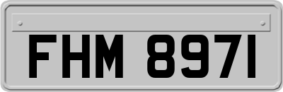 FHM8971
