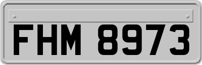 FHM8973