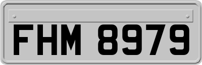 FHM8979