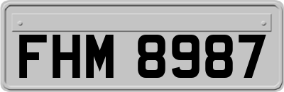 FHM8987
