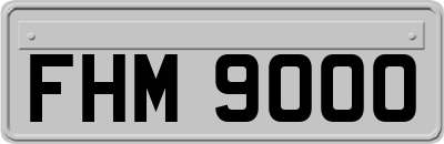 FHM9000